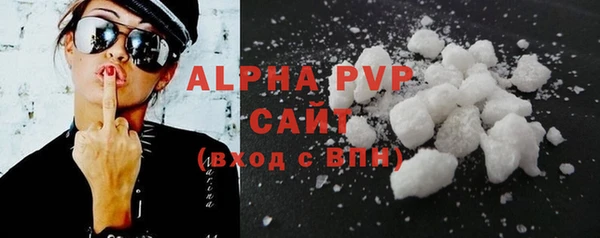 сатива Новодвинск