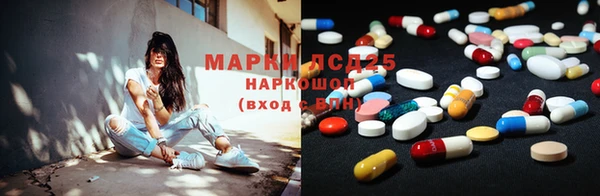 прущие крисы Новозыбков