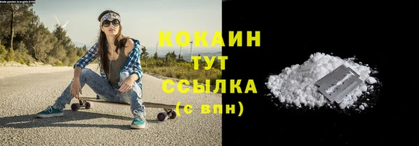 прущие крисы Новозыбков