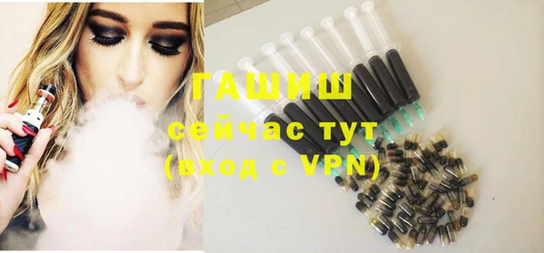 сатива Новодвинск