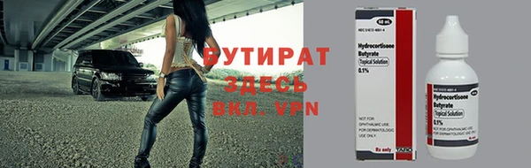 сатива Новодвинск