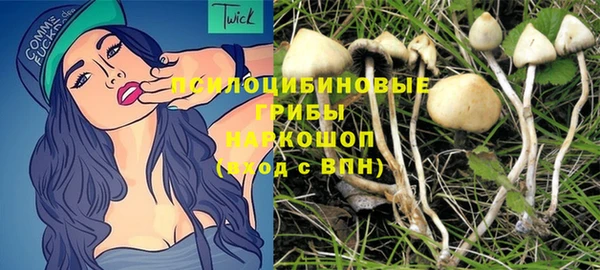 сатива Новодвинск