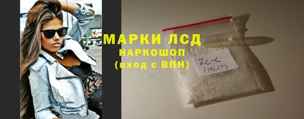 сатива Новодвинск