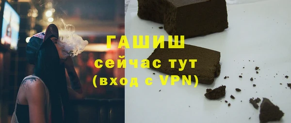 сатива Новодвинск