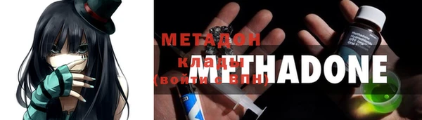 сатива Новодвинск