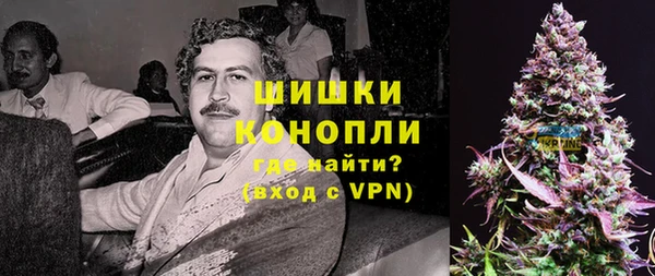 сатива Новодвинск