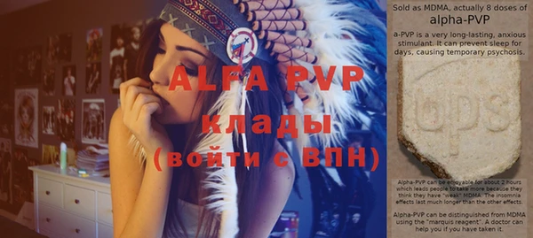 прущие крисы Новозыбков