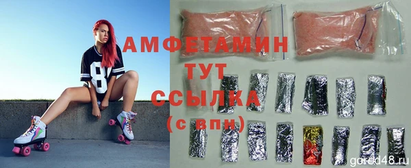 сатива Новодвинск