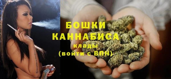 прущие крисы Новозыбков