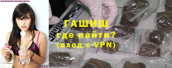 сатива Новодвинск