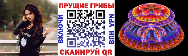 Галлюциногенные грибы мухоморы  Питкяранта 